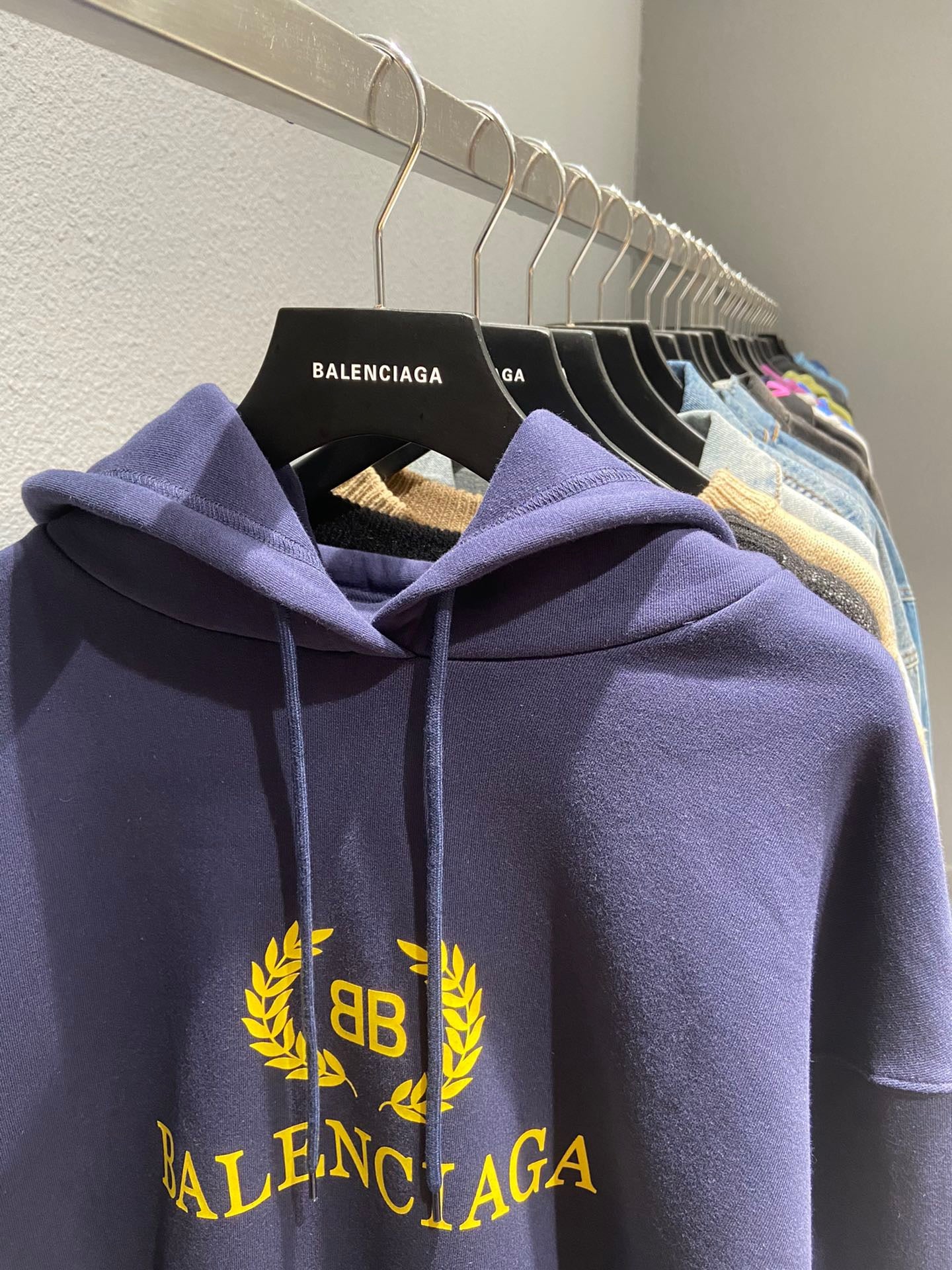 Ba1en*iaga Hoodie