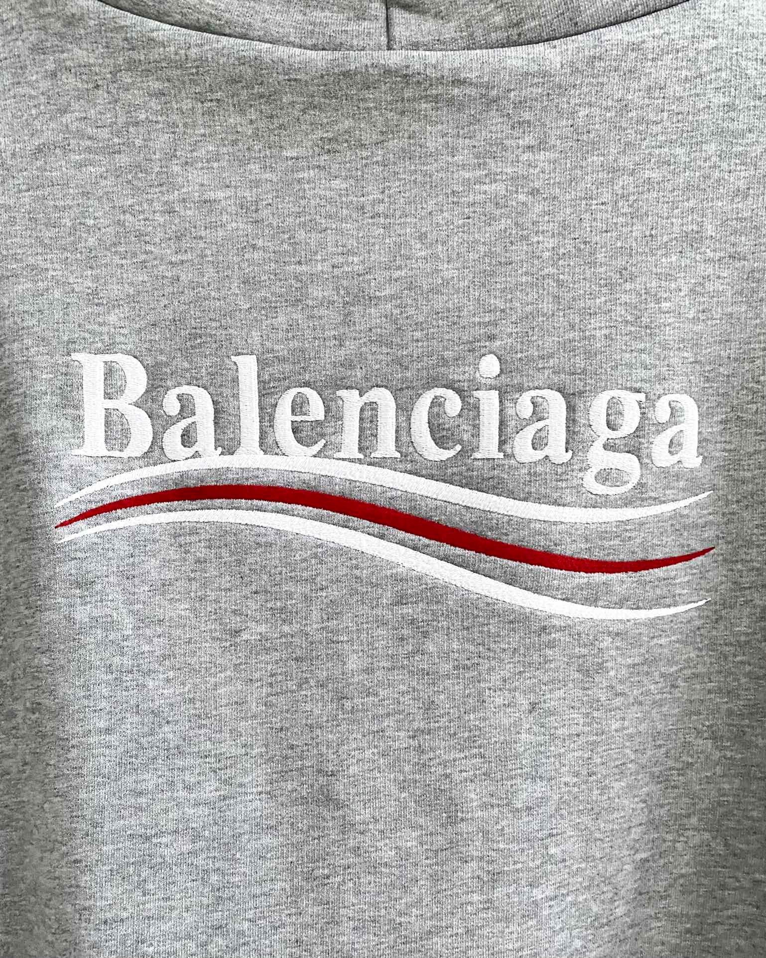 Ba1en*iaga Hoodie