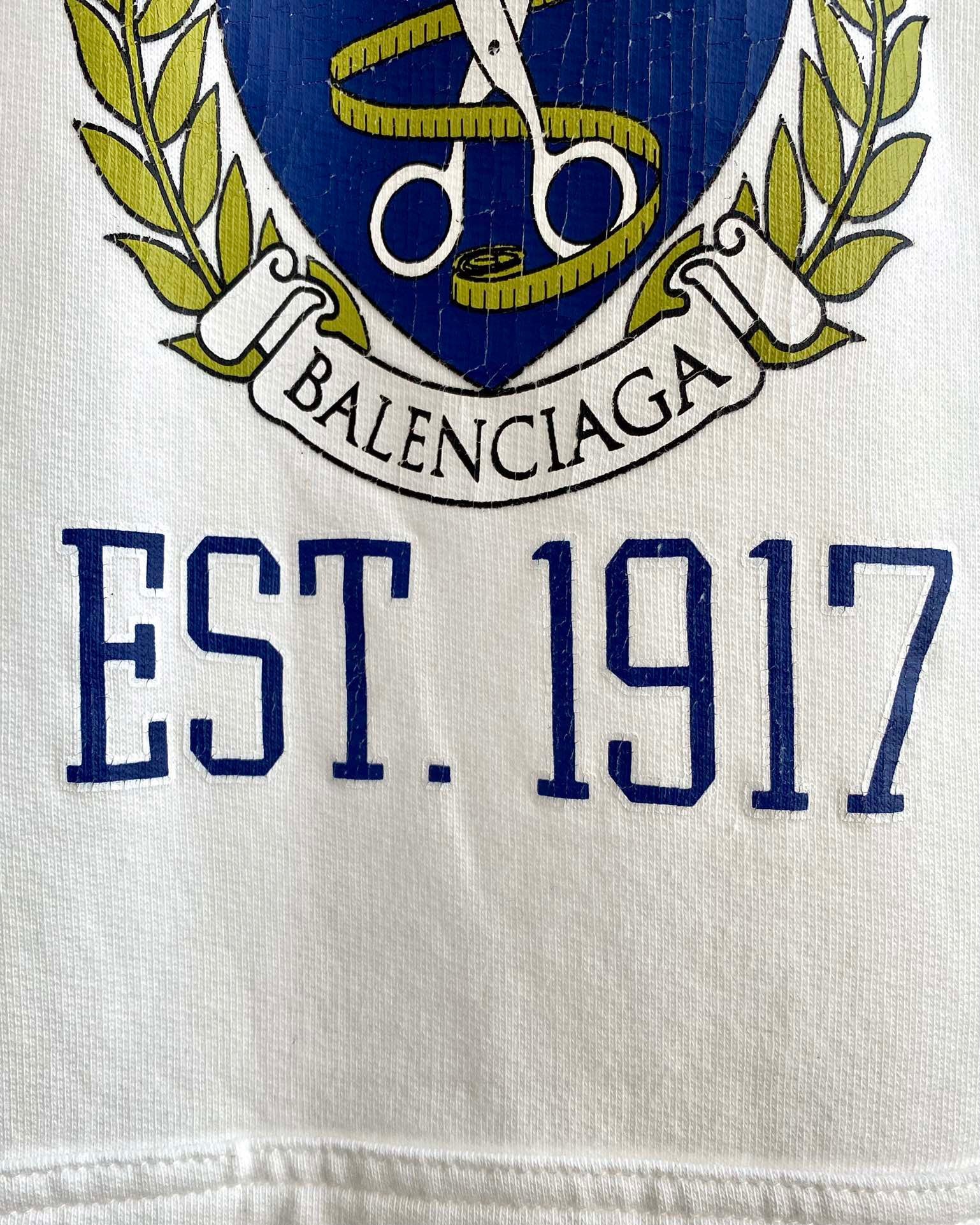 Ba1en*iaga Hoodie