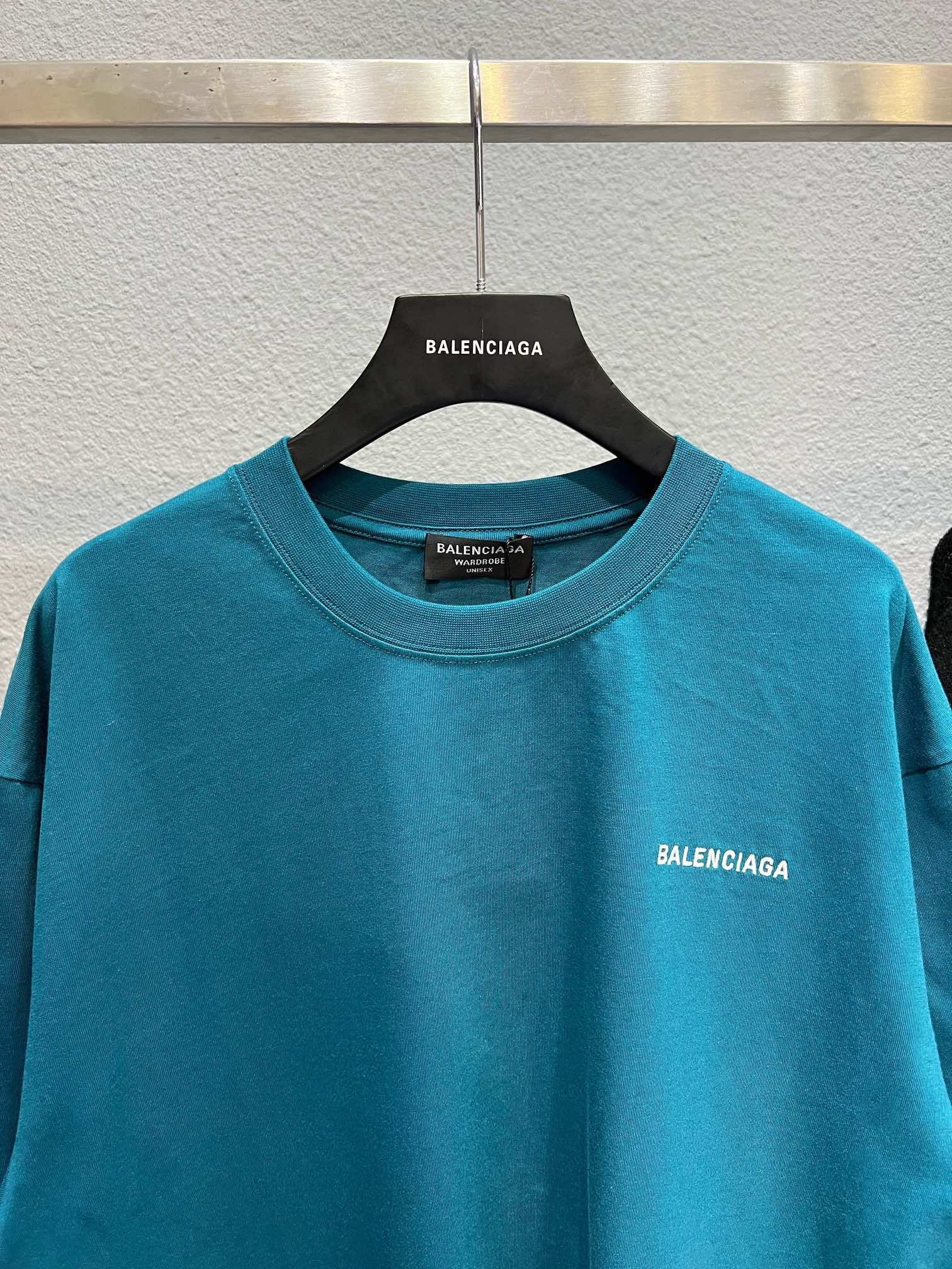 Ba1en*iaga T-shirt