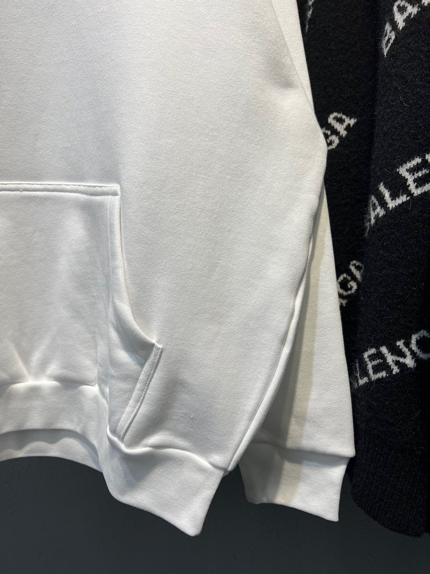 Ba1en*iaga Hoodie
