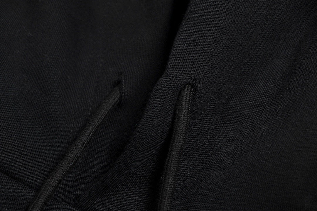 Ba1en*iaga Hoodie