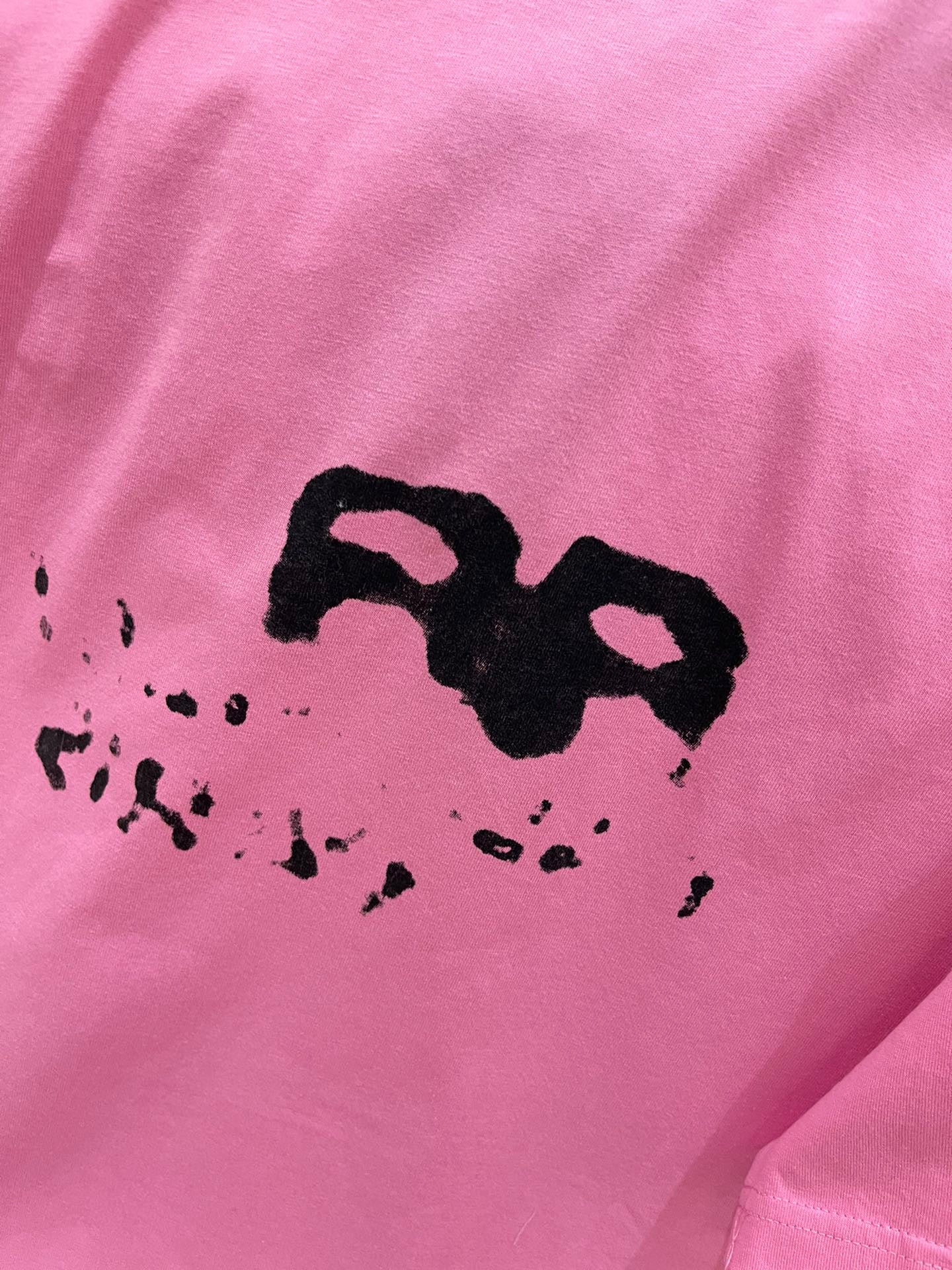 Ba1en*iaga T-shirt
