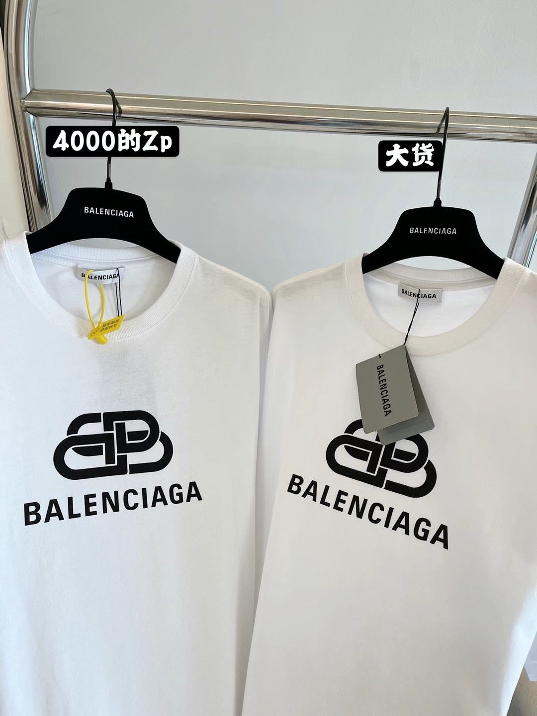 Ba1en*iaga T-shirt