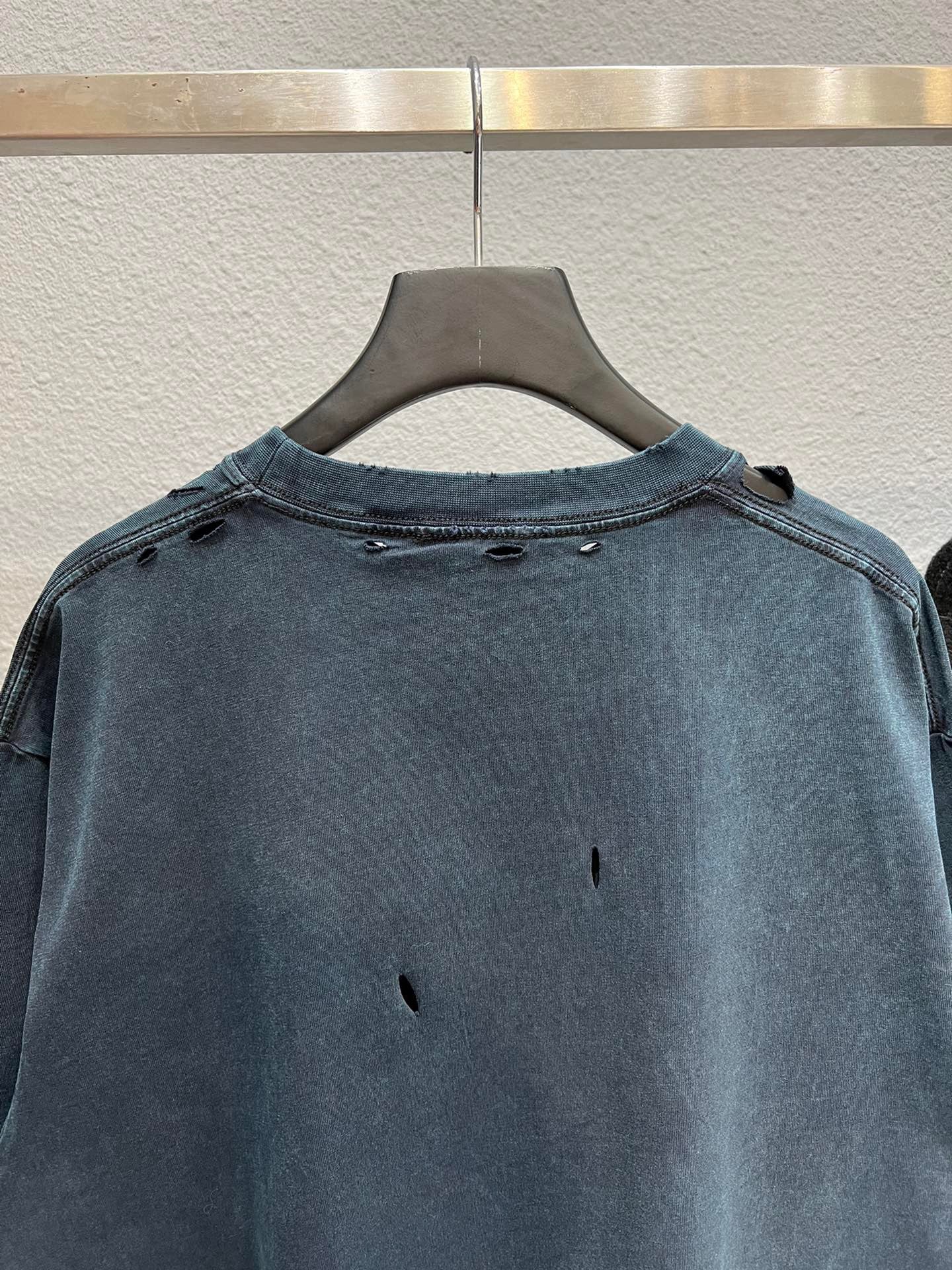 Ba1en*iaga T-shirt