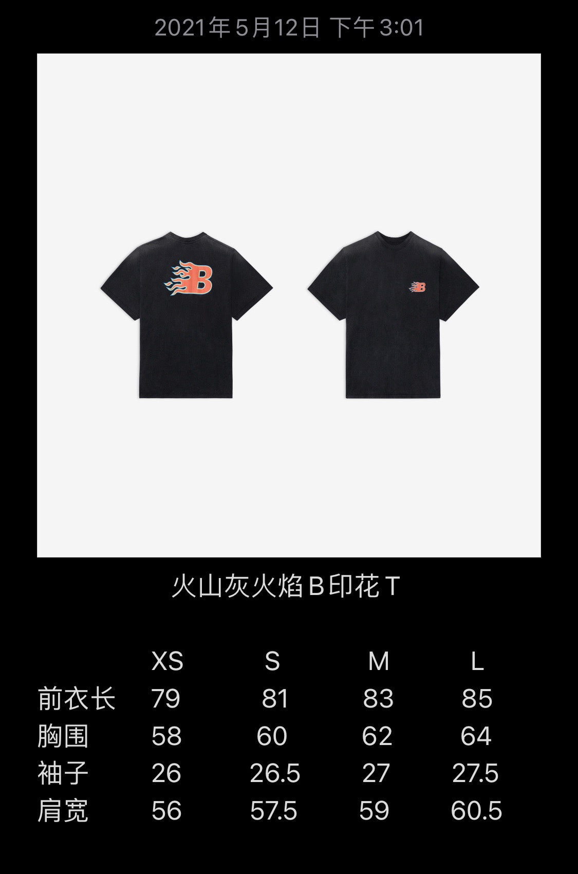 Ba1en*iaga T-shirt