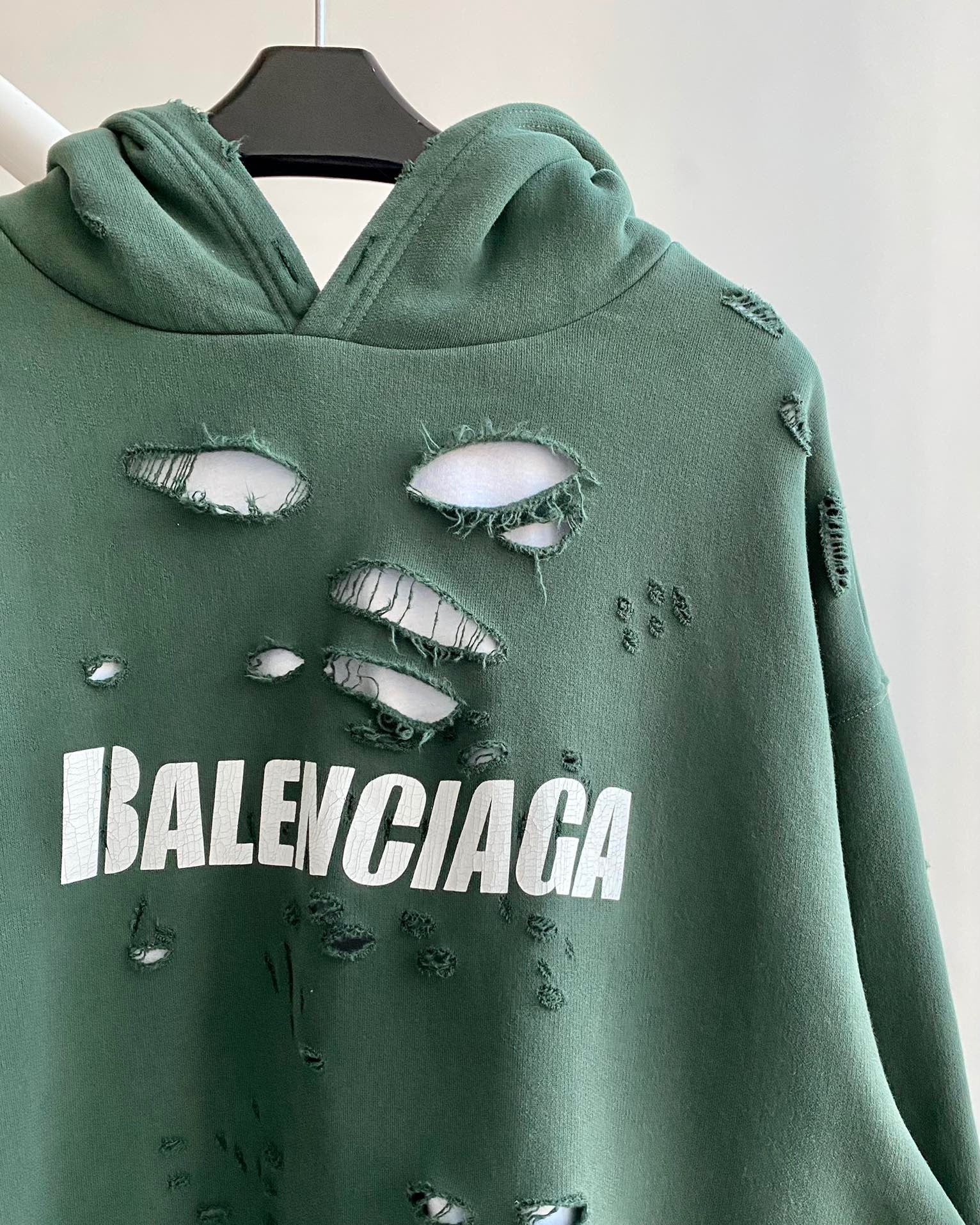 Ba1en*iaga Hoodie