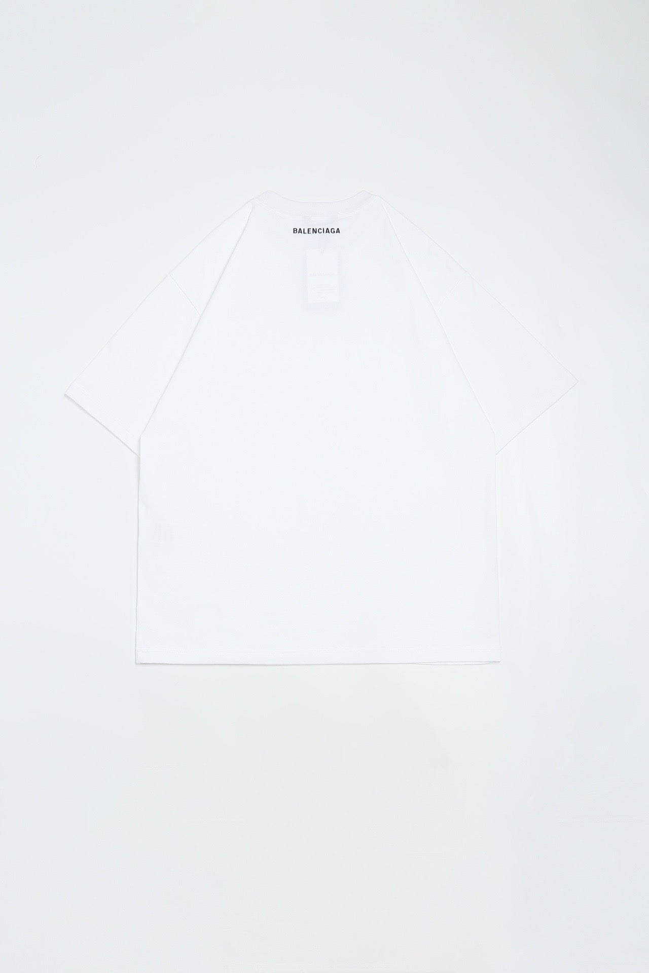 Ba1en*iaga T-shirt