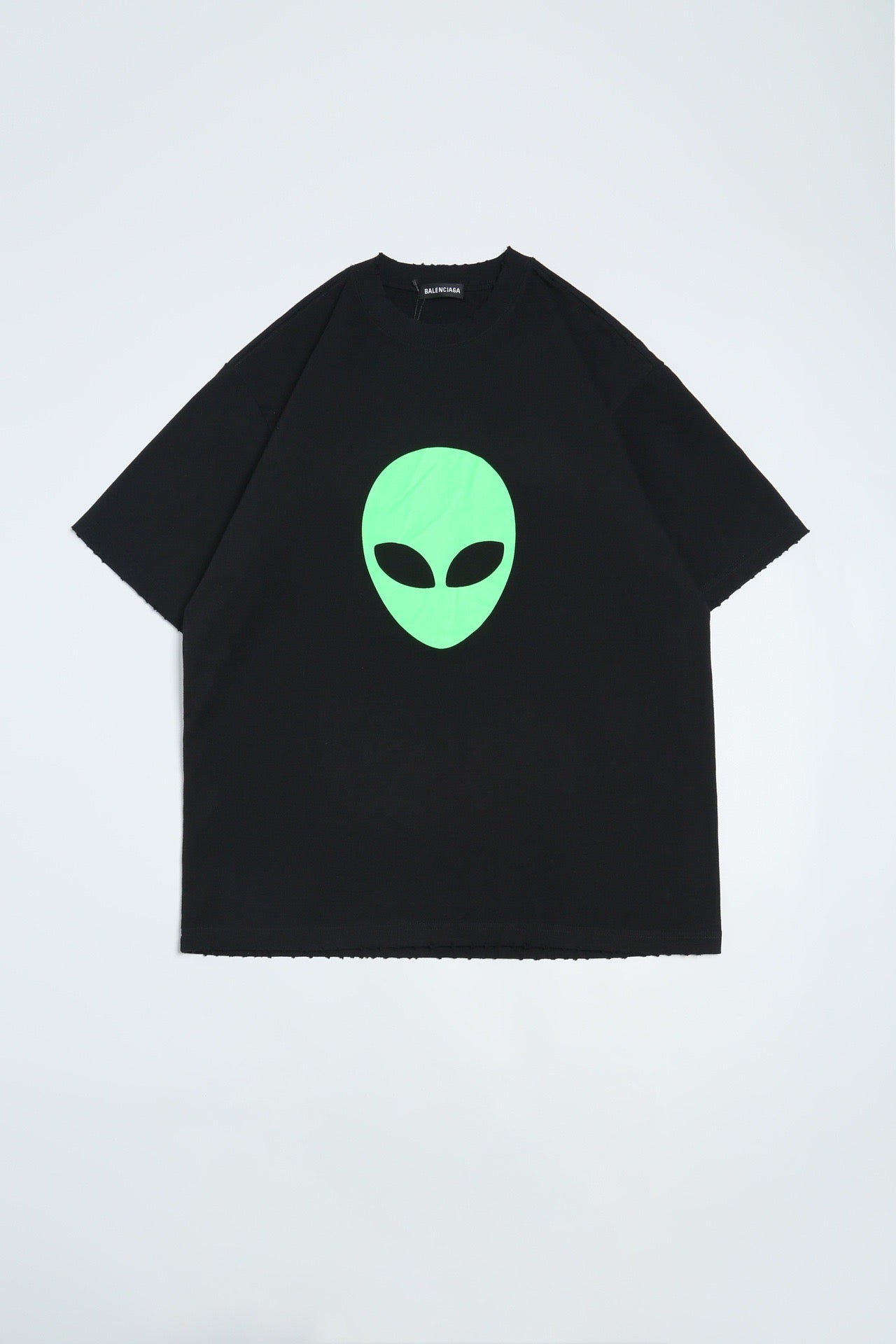 Ba1en*iaga T-shirt