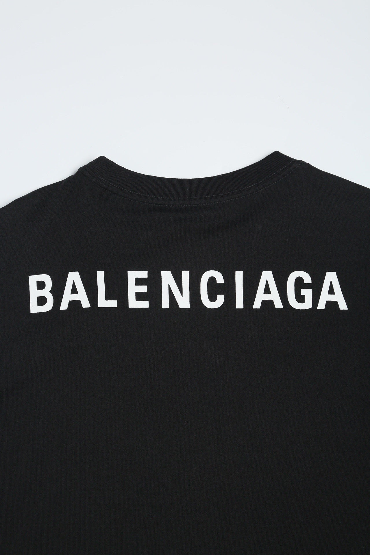 Ba1en*iaga T-shirt