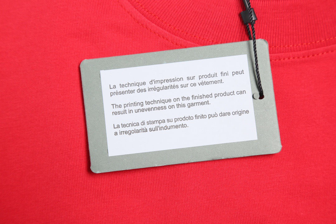 Ba1en*iaga T-shirt