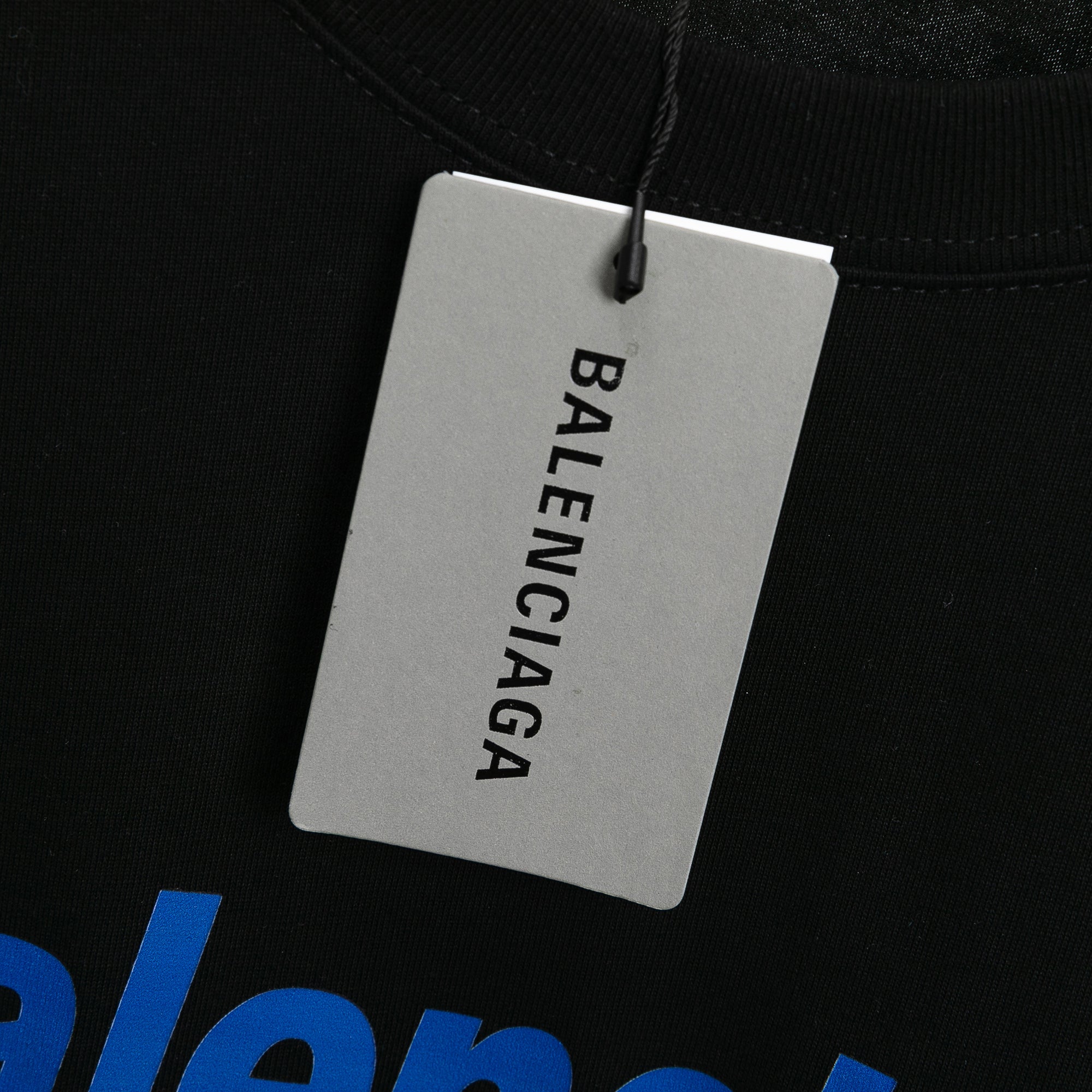 Ba1en*iaga T-shirt