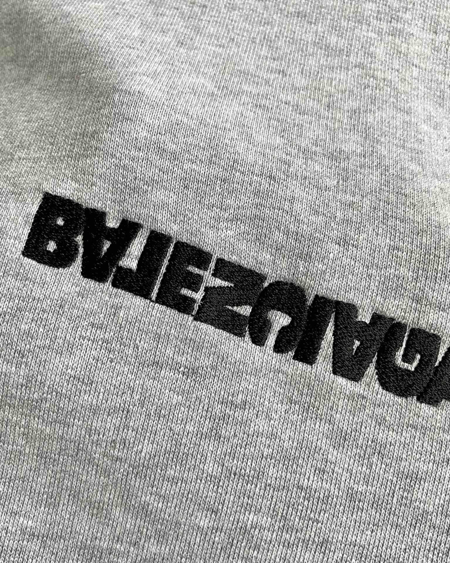 Ba1en*iaga Hoodie