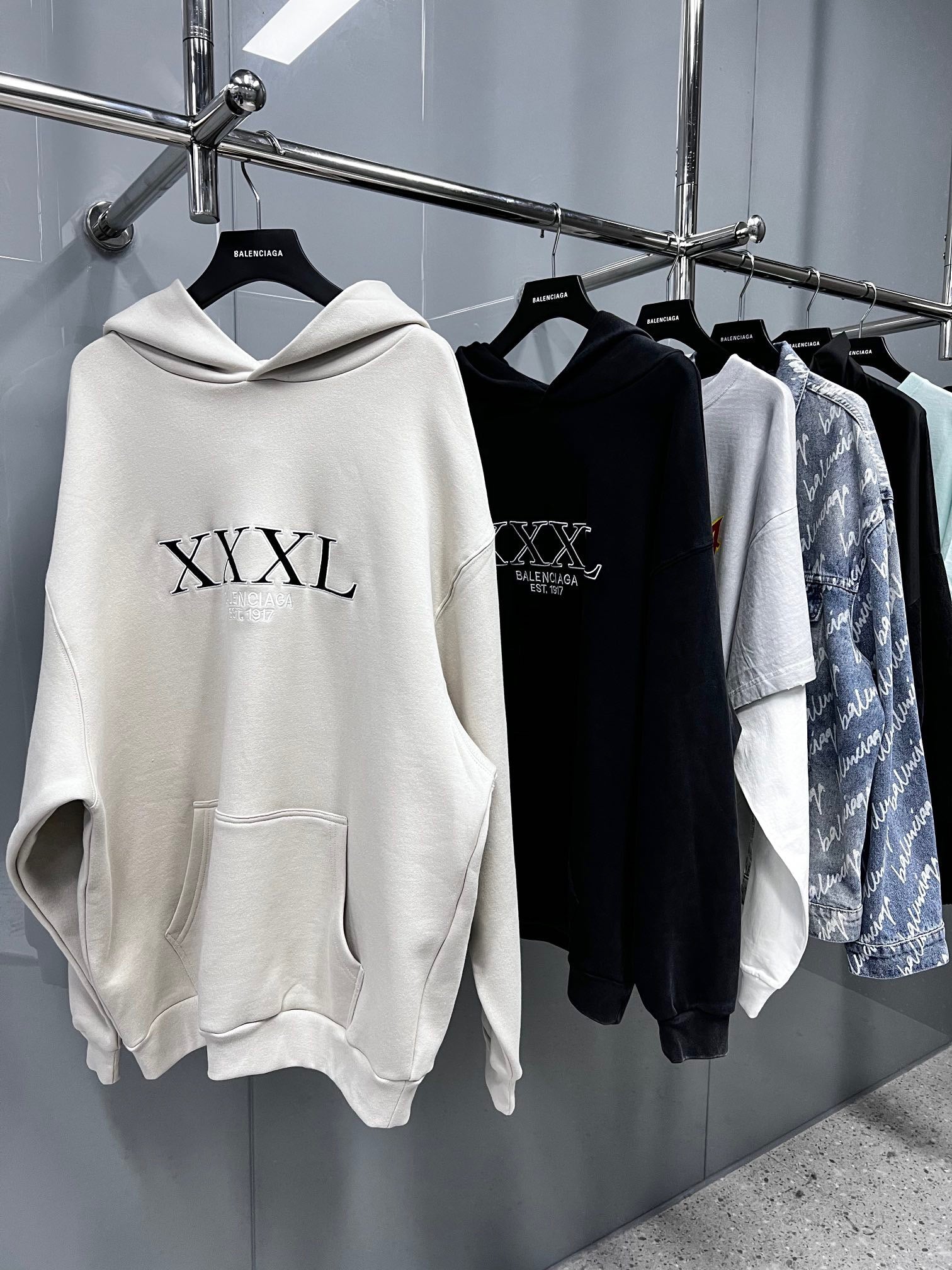 Ba1en*iaga Hoodie