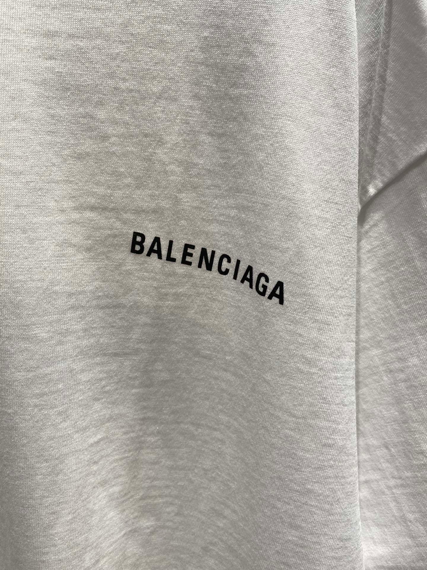 Ba1en*iaga T-shirt