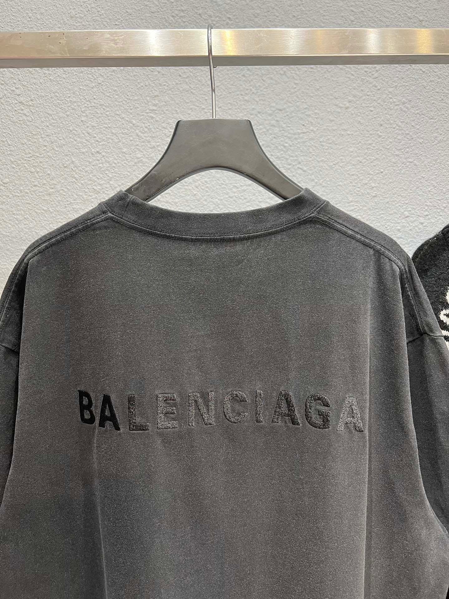 Ba1en*iaga T-shirt