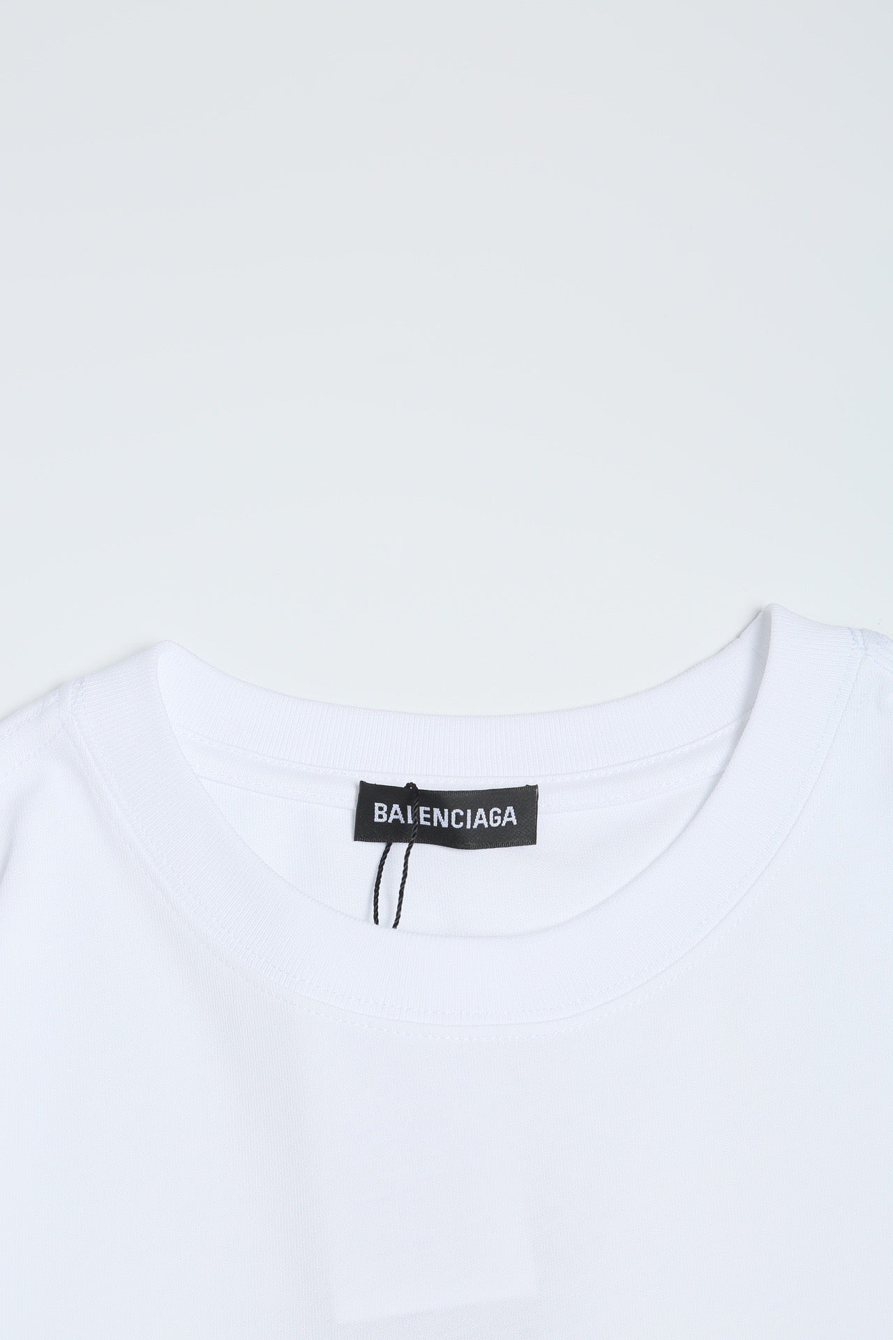 Ba1en*iaga T-shirt
