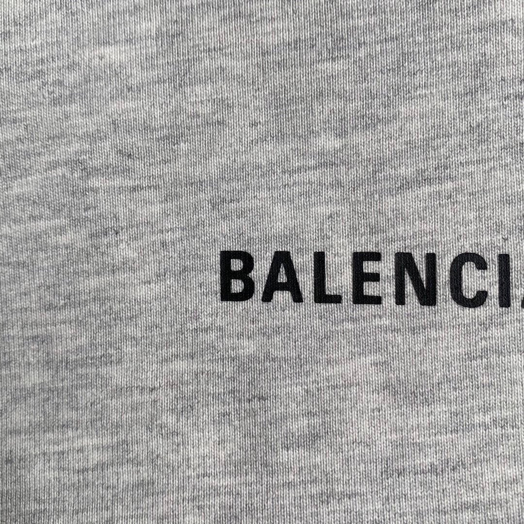 Ba1en*iaga T-shirt