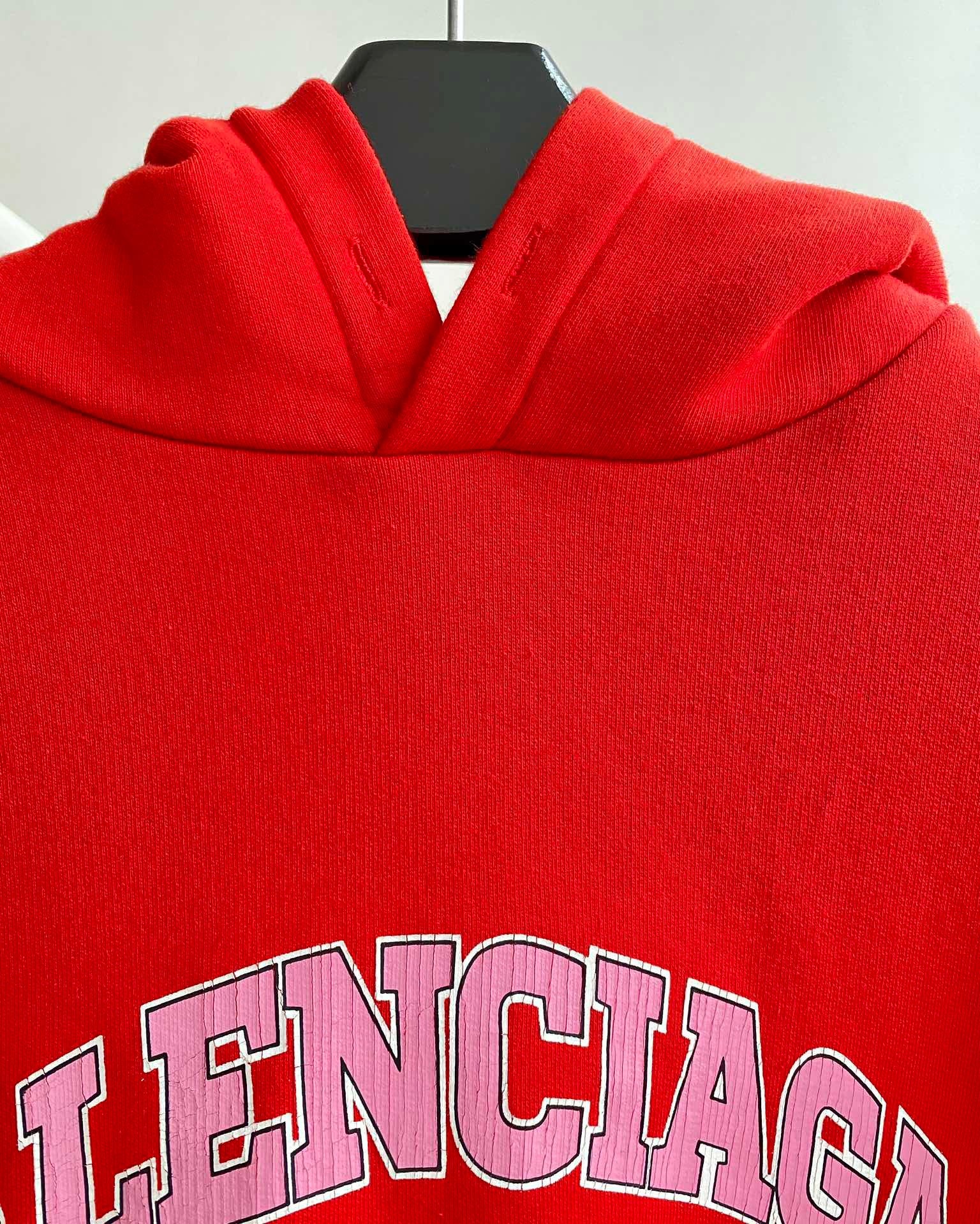 Ba1en*iaga Hoodie