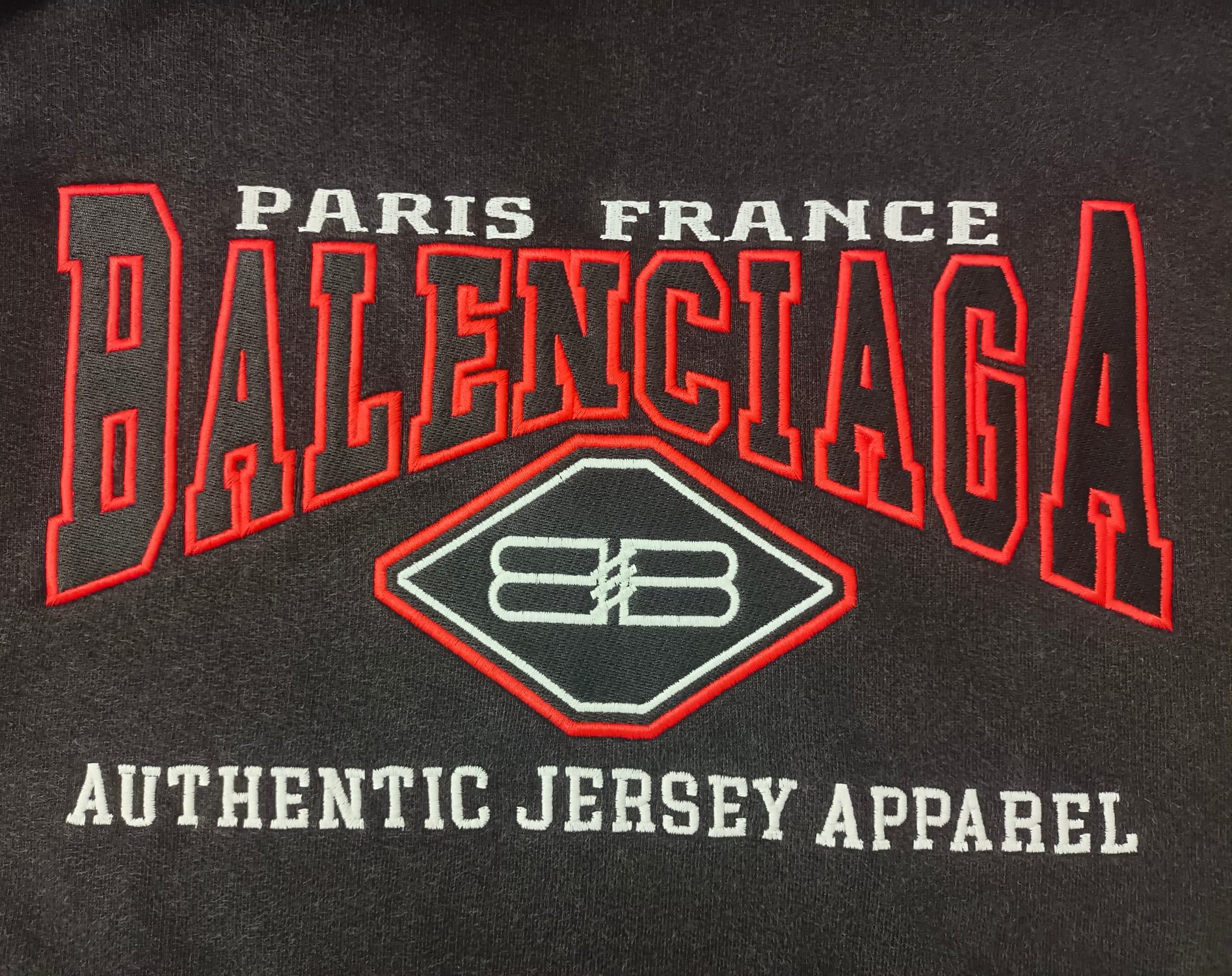 Ba1en*iaga Hoodie