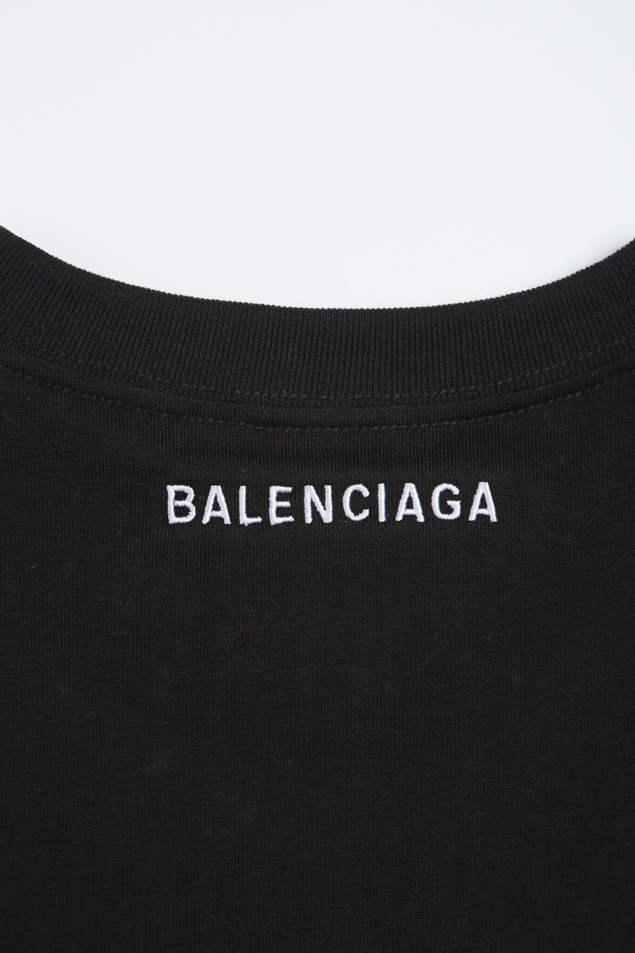 Ba1en*iaga T-shirt