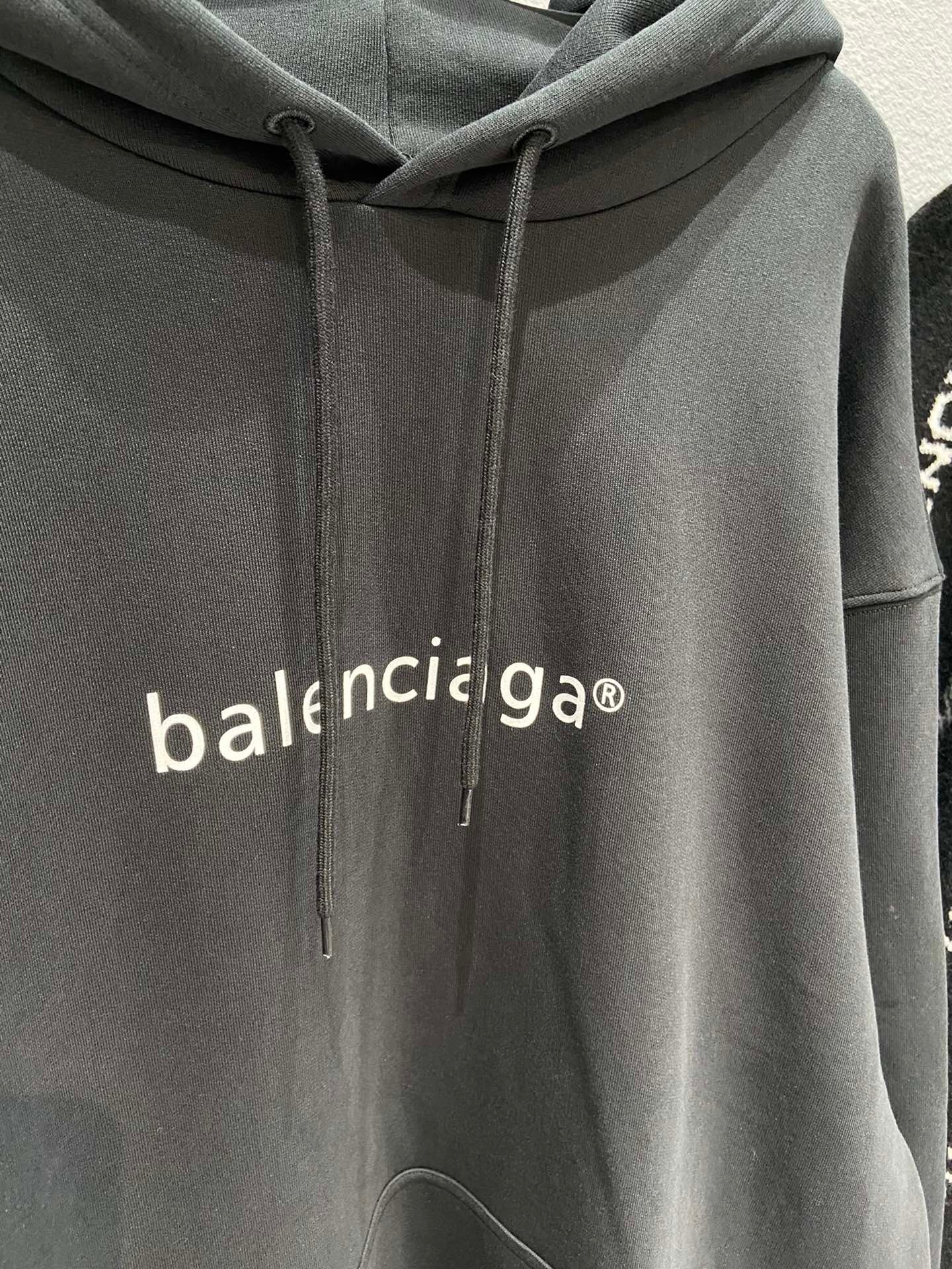 Ba1en*iaga Hoodie
