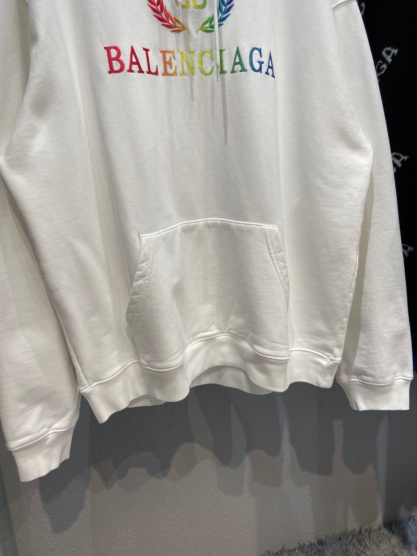 Ba1en*iaga Hoodie