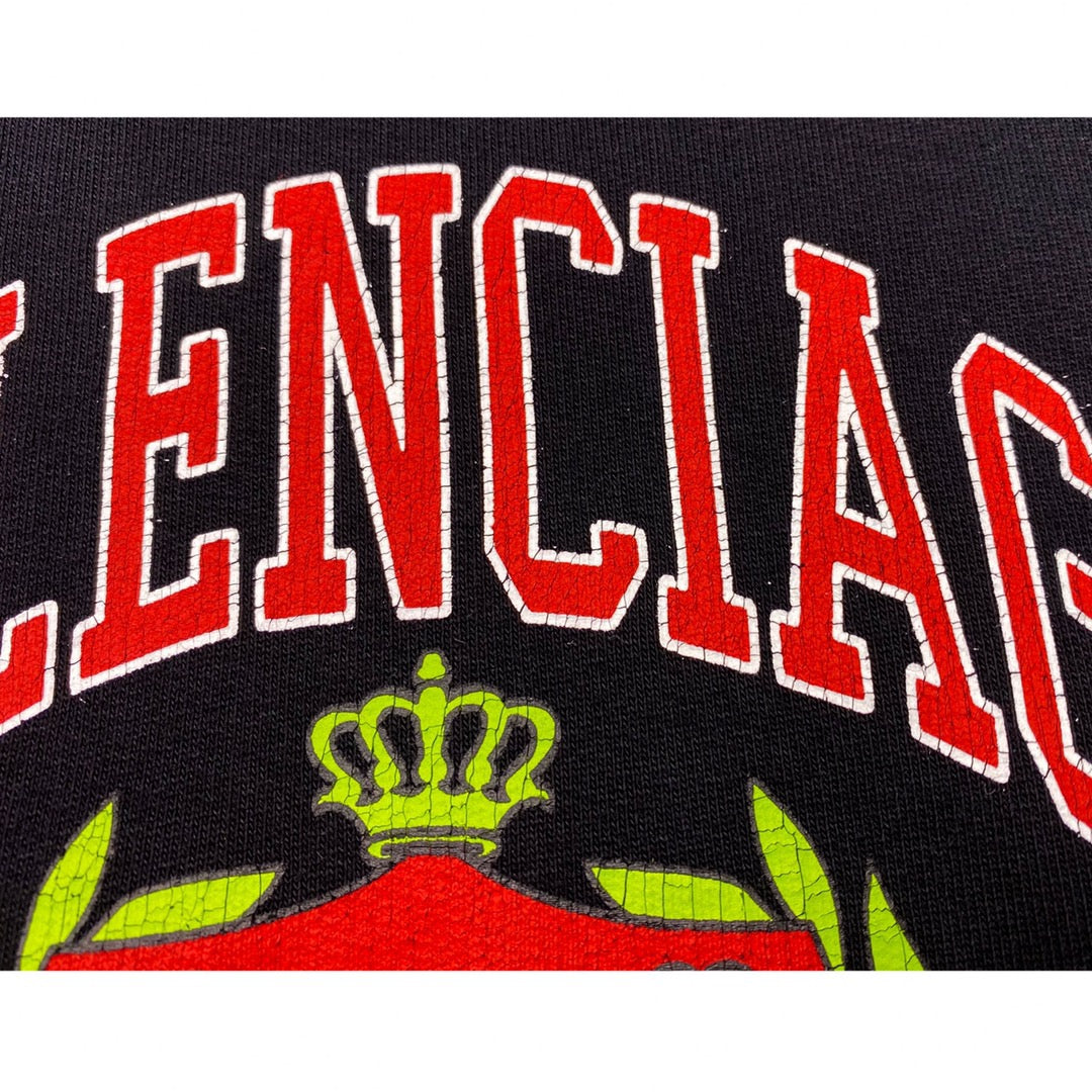 Ba1en*iaga Hoodie
