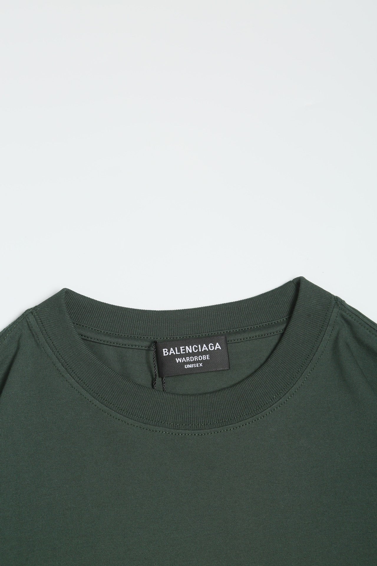 Ba1en*iaga T-shirt